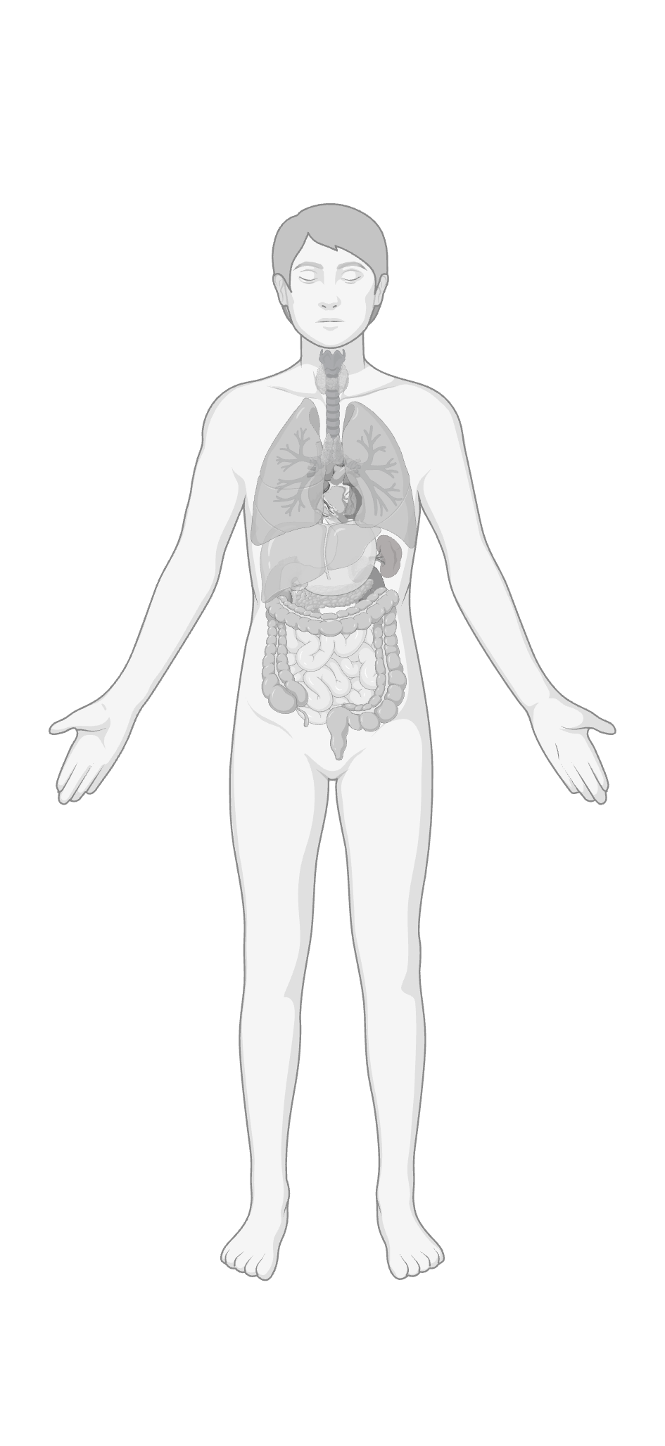 Protein structure placeholder